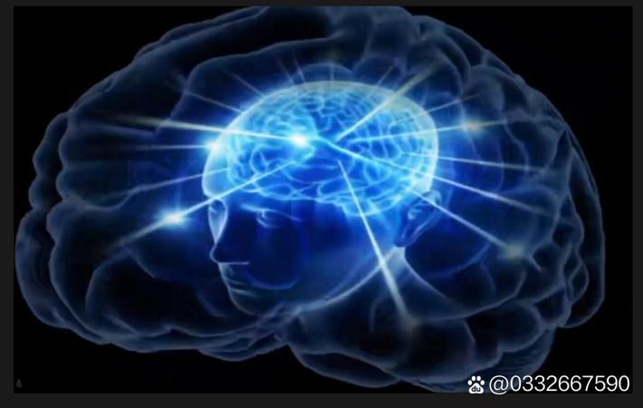 综艺节目录制现场冲突新闻配图